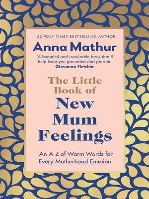 The Little Book of New Mum Feelings - ebook